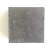 Oyster concrete sample block